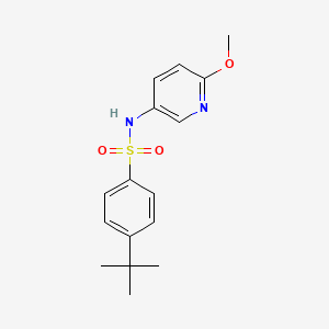 molecular formula C16H20N2O3S B8585981 4-tert-Butyl-N-(6-methoxy-pyridin-3-yl)-benzenesulfonamide 