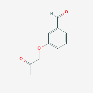 molecular formula C10H10O3 B8587031 3-(2-Oxopropoxy)benzaldehyde 