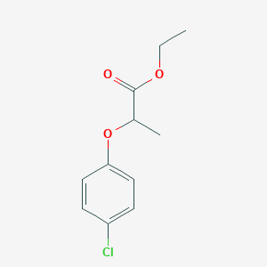 molecular formula C11H13ClO3 B8588110 2-(4-Chlorophenoxy)propionic acid ethyl ester CAS No. 18671-89-1