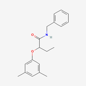 molecular formula C19H23NO2 B8588199 N-benzyl-2-(3,5-dimethylphenoxy)-butyramide 