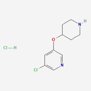 molecular formula C10H14Cl2N2O B8590056 3-Chloro-5-(piperidin-4-yloxy)pyridine hydrochloride 