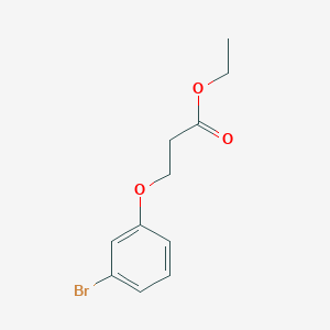 molecular formula C11H13BrO3 B8590641 Ethyl 3-(m-bromophenoxy)propionate 
