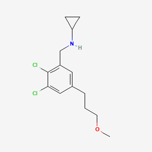 Cyclopropyl-[2,3-dichloro-5-(3-methoxy-propyl)-benzyl]-amine