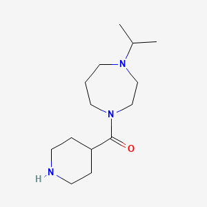 molecular formula C14H27N3O B8595855 Piperidin-4-yl-(4-propan-2-yl-1,4-diazepan-1-yl)methanone CAS No. 799557-70-3