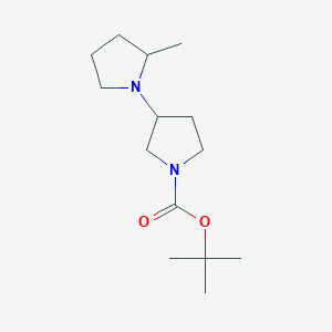 molecular formula C14H26N2O2 B8597632 2-Methyl-[1,3']bipyrrolidinyl-1'-carboxylic acid tert-butyl ester 