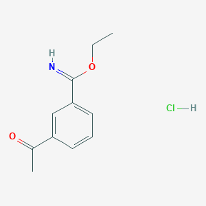 molecular formula C11H14ClNO2 B8599872 Benzenecarboximidic acid, 3-acetyl-, ethyl ester, hydrochloride CAS No. 60694-93-1