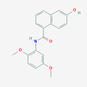 molecular formula C19H17NO4 B8599874 N-(2,5-Dimethoxyphenyl)-6-hydroxynaphthalene-1-carboxamide CAS No. 595566-68-0