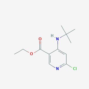 Ethyl 4-(tert-butylamino)-6-chloronicotinate