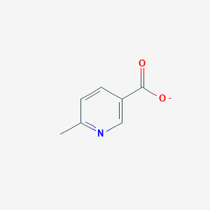molecular formula C7H6NO2- B8608588 6-Methylnicotinate 