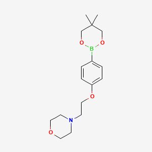 4-(2-(4-(5,5-Dimethyl-1,3,2-dioxaborinan-2-yl)phenoxy)ethyl)morpholine