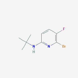molecular formula C9H12BrFN2 B8610199 (6-Bromo-5-fluoropyridin-2-yl)-tert-butylamine 
