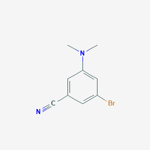 molecular formula C9H9BrN2 B8612934 3-Bromo-5-(dimethylamino)benzonitrile 