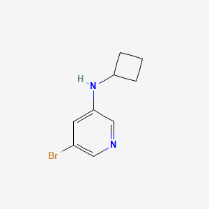molecular formula C9H11BrN2 B8614845 5-bromo-N-cyclobutylpyridin-3-amine 