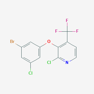 molecular formula C12H5BrCl2F3NO B8615207 3-(3-Bromo-5-chlorophenoxy)-2-chloro-4-(trifluoromethyl)pyridine CAS No. 1155846-87-9