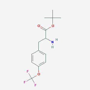 Tert-Butyl 2-amino-3-[4-(trifluoromethoxy)phenyl]propanoate