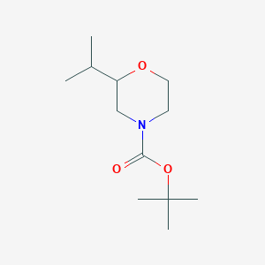 molecular formula C12H23NO3 B8616504 Tert-butyl 2-isopropylmorpholine-4-carboxylate 