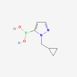 molecular formula C7H11BN2O2 B8620911 1-Cyclopropylmethyl-1H-pyrazole-5-boronic acid 