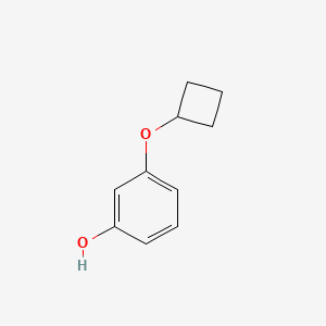 molecular formula C10H12O2 B8621099 3-Cyclobutoxy-phenol 