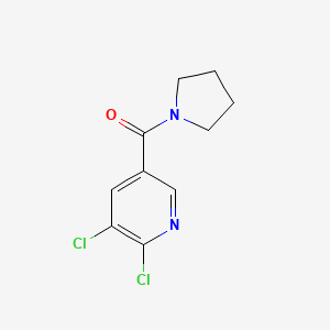 molecular formula C10H10Cl2N2O B8621615 2,3-Dichloro-5-(pyrrolidin-1-ylcarbonyl)pyridine 