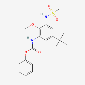 molecular formula C19H24N2O5S B8627359 Phenyl 5-tert-butyl-2-methoxy-3-(methylsulfonamido)phenylcarbamate 