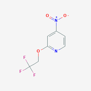 molecular formula C7H5F3N2O3 B8627707 4-Nitro-2-(2,2,2-trifluoroethoxy)pyridine 