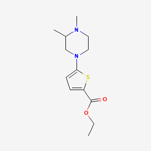 molecular formula C13H20N2O2S B8628098 Ethyl 5-(3,4-dimethylpiperazin-1-yl)thiophene-2-carboxylate 
