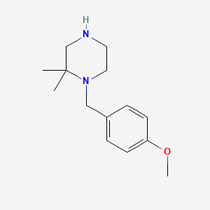 molecular formula C14H22N2O B8630993 1-(4-Methoxy-benzyl)-2,2-dimethyl-piperazine 