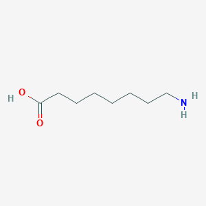 B086344 8-Aminooctanoic acid CAS No. 1002-57-9