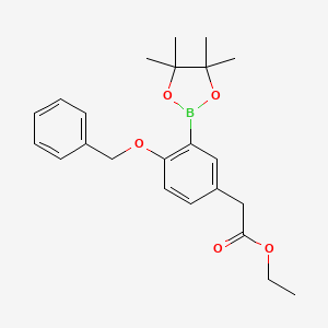 molecular formula C23H29BO5 B8636364 [4-Benzyloxy-3-(4,4,5,5-tetramethyl-[1,3,2]dioxaborolan-2-yl)-phenyl]-acetic acid ethyl ester 