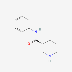 molecular formula C12H16N2O B8637538 (3R)-N-phenyl-3-piperidinecarboxamide 
