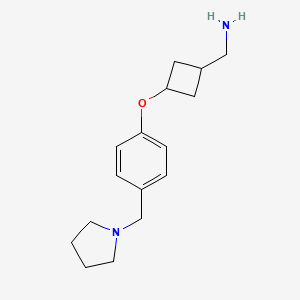 molecular formula C16H24N2O B8637786 1-(3-{4-[(Pyrrolidin-1-yl)methyl]phenoxy}cyclobutyl)methanamine CAS No. 917816-00-3