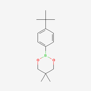 2-(4-tert-Butylphenyl)-5,5-dimethyl-1,3,2-dioxaborinane