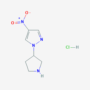 molecular formula C7H11ClN4O2 B8641035 4-nitro-1-pyrrolidin-3-yl-1H-pyrazole hydrochloride 