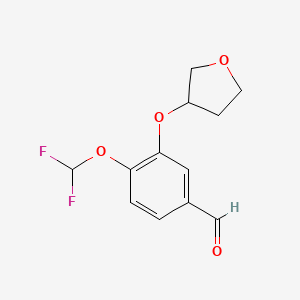 molecular formula C12H12F2O4 B8642219 4-(Difluoromethoxy)-3-((tetrahydrofuran-3-yl)oxy)benzaldehyde 