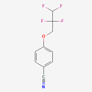 4-(2,2,3,3-Tetrafluoropropoxy)benzonitrile
