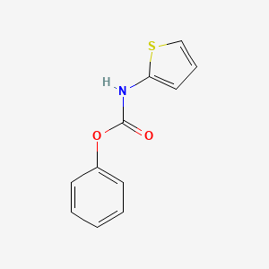 molecular formula C11H9NO2S B8646030 Phenyl thiophen-2-ylcarbamate CAS No. 74889-22-8