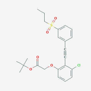 molecular formula C23H25ClO5S B8650661 Tert-butyl(3-chloro-2-{[3-(propylsulfonyl)phenyl]ethynyl}phenoxy)acetate 