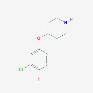 molecular formula C11H13ClFNO B8654882 4-(3-Chloro-4-fluorophenoxy)piperidine 