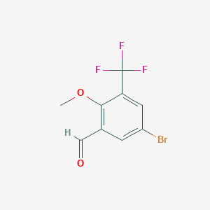 molecular formula C9H6BrF3O2 B8654997 5-Bromo-2-methoxy-3-(trifluoromethyl)benzaldehyde 