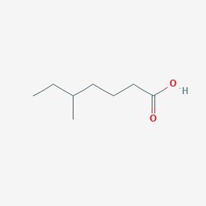 molecular formula C8H16O2 B086555 5-甲基庚酸 CAS No. 1070-68-4