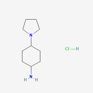 molecular formula C10H21ClN2 B8658967 4-(Pyrrolidin-1-yl)cyclohexanamine hydrochloride 