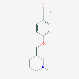 molecular formula C13H16F3NO B8664501 3-(4-Trifluoromethyl-phenoxymethyl)-piperidine 