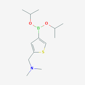 molecular formula C13H24BNO2S B8664825 Diisopropyl {5-[(dimethylamino)methyl]-3-thienyl}boronate 