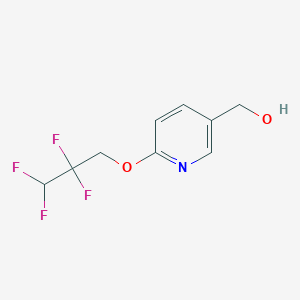 molecular formula C9H9F4NO2 B8665847 [6-(2,2,3,3-Tetrafluoropropoxy)pyridin-3-yl]methanol CAS No. 106341-50-8