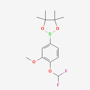 molecular formula C14H19BF2O4 B8667194 2-(4-(Difluoromethoxy)-3-methoxyphenyl)-4,4,5,5-tetramethyl-1,3,2-dioxaborolane 