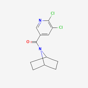 molecular formula C12H12Cl2N2O B8668830 (7-Azabicyclo[2.2.1]heptan-7-yl)(5,6-dichloropyridin-3-yl)methanone CAS No. 919784-86-4