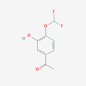 molecular formula C9H8F2O3 B8670016 1-[4-(Difluoromethoxy)-3-hydroxyphenyl]ethanone 