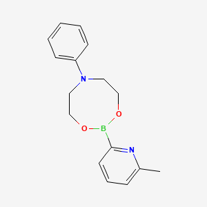 6-Methylpyridine-2-boronic acid N-phenyldiethanolamine ester
