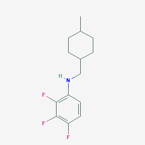 2,3,4-trifluoro-N-[(4-methylcyclohexyl)methyl]aniline