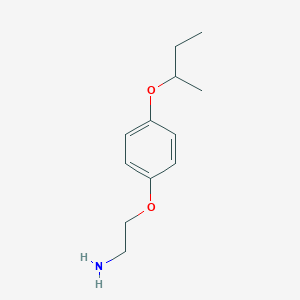 molecular formula C12H19NO2 B8677947 2-{4-[(Butan-2-yl)oxy]phenoxy}ethan-1-amine CAS No. 112538-58-6